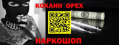 шишки Тара