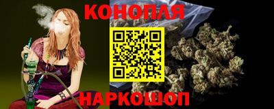 шишки Тара