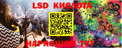 шишки Татарск