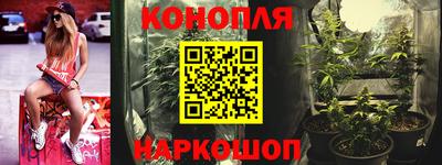 шишки Татарск