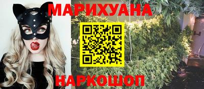 шишки Тара
