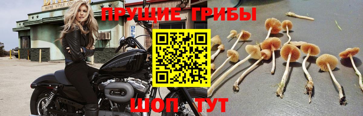 Галлюциногенные грибы ЛСД  Вход с VPN  Орехово-Зуево 